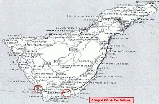 Las Terassas- Playa de las americas - Ténérife- Espagne Extérieur photo